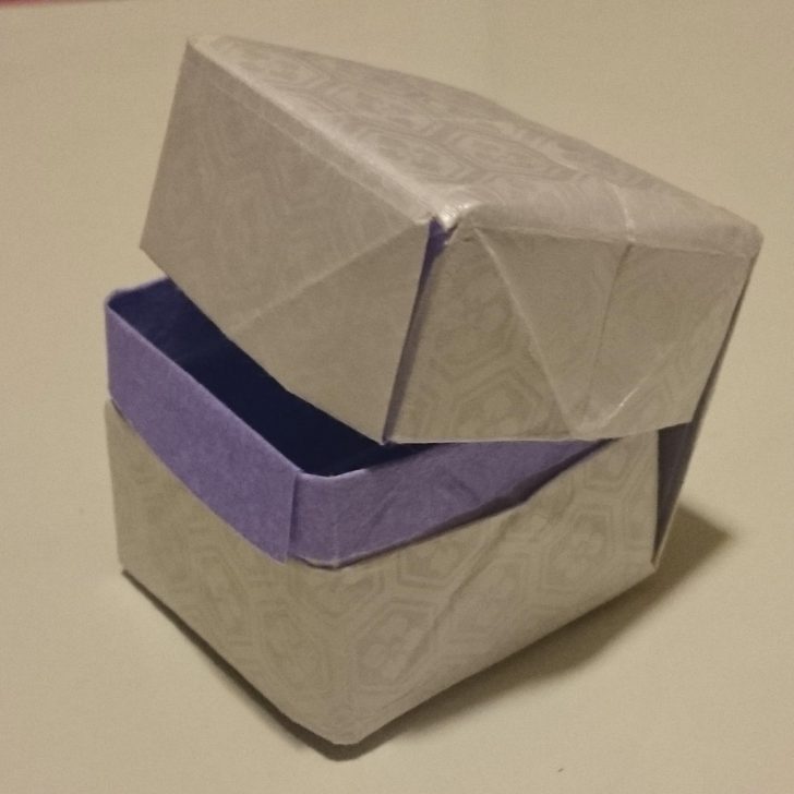 Origami Boxes With Lids Origami Box With Lid Single Paper Model David