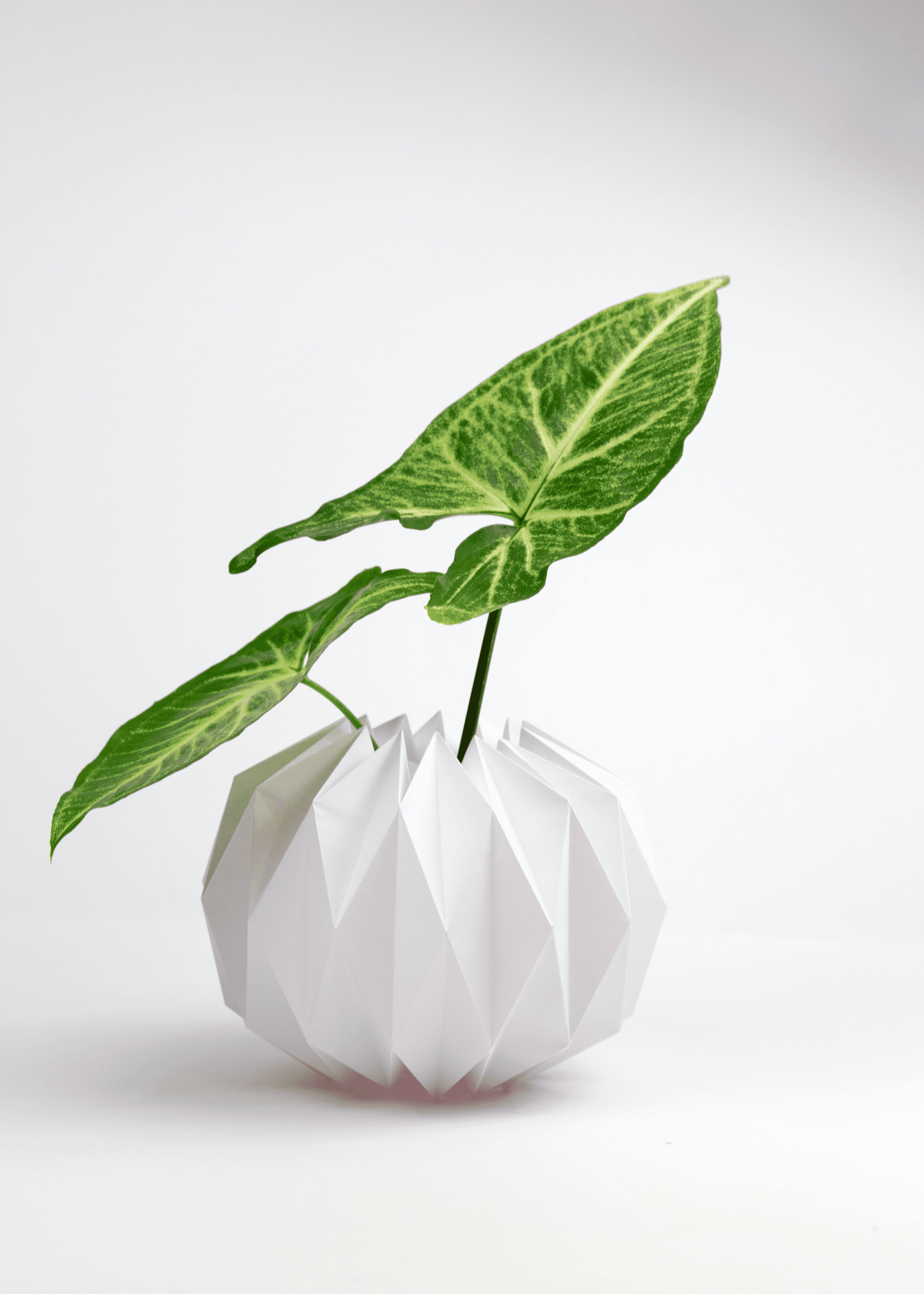3D Origami Flower Pot Diy Origami Plant Pot Covers
