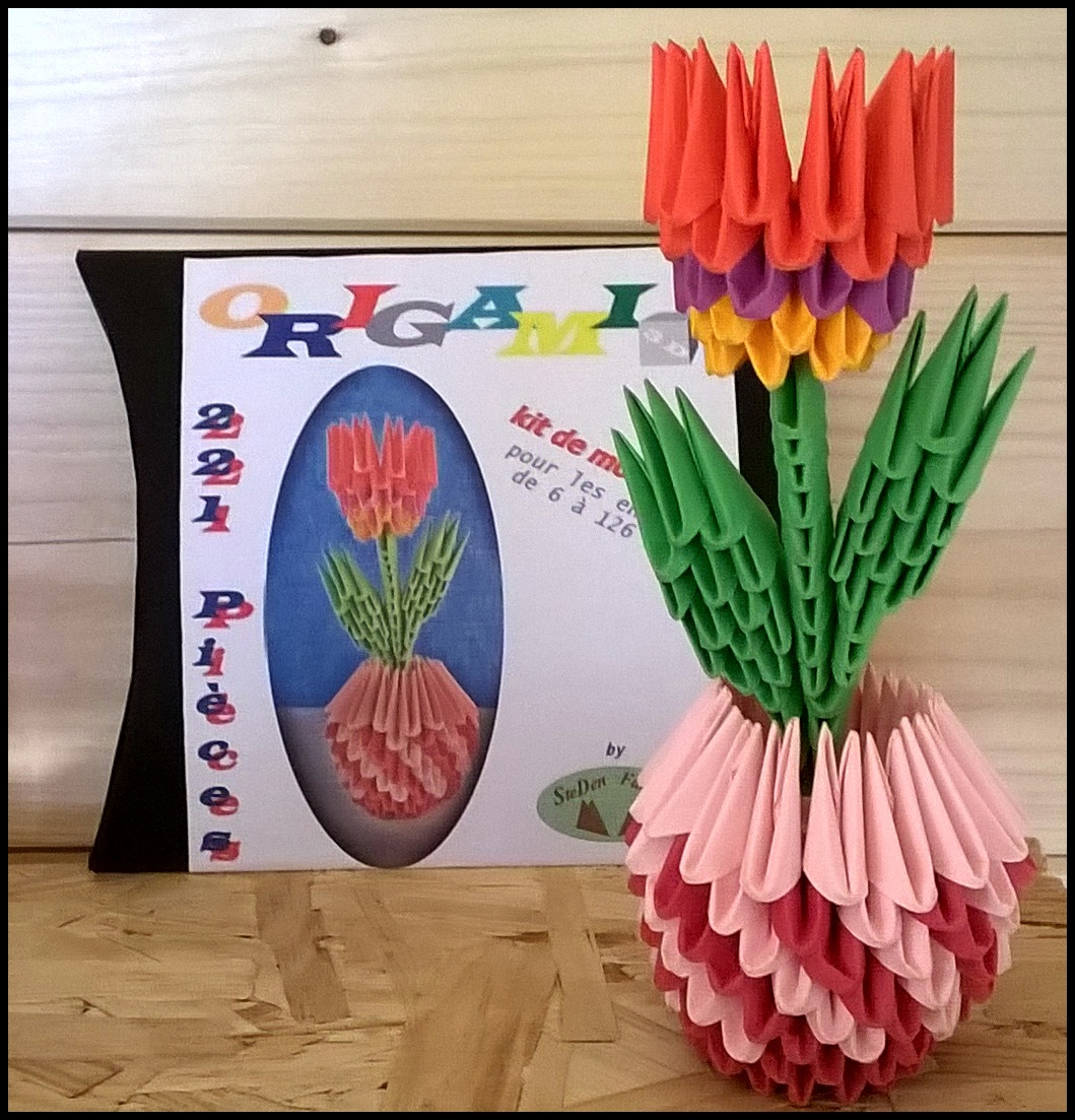 3D Origami Flower Pot Kit Origami 3d Fleur Rouge Pot Rose