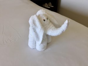 Baby Elephant Origami A Washcloth Origami Ba Elephant Mildlyinteresting