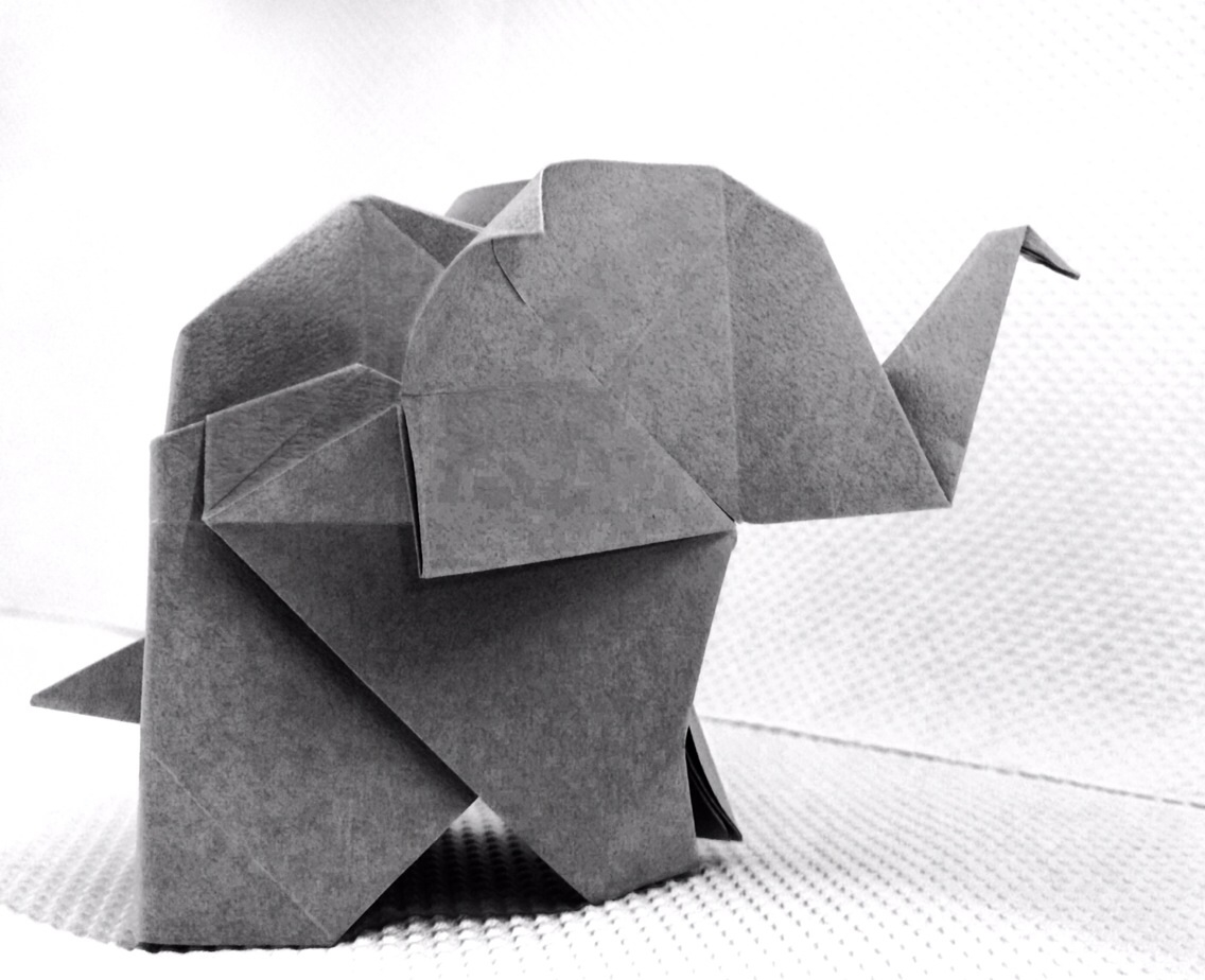 Baby Elephant Origami Ba Elephant 10 X 10 Tant Finished Model 45 X 4 Folded