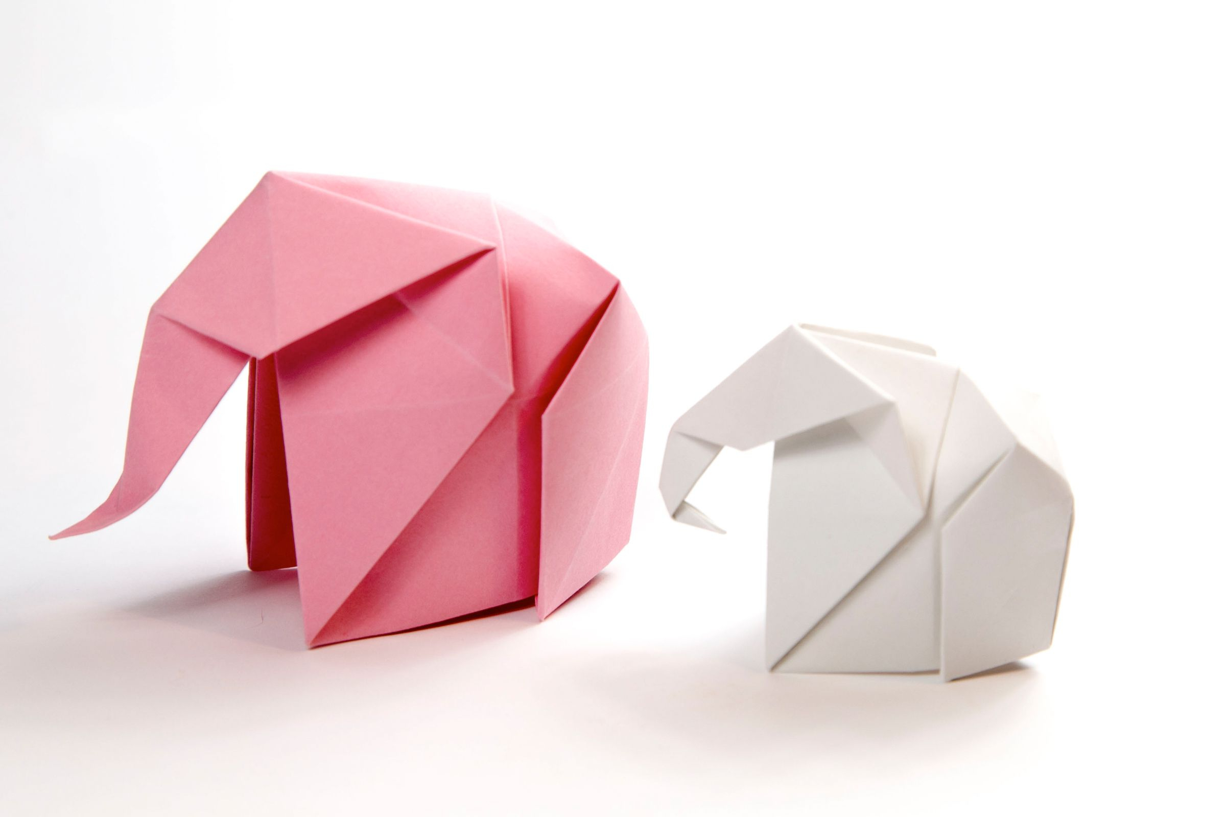 Baby Elephant Origami How To Make An Origami Elephant
