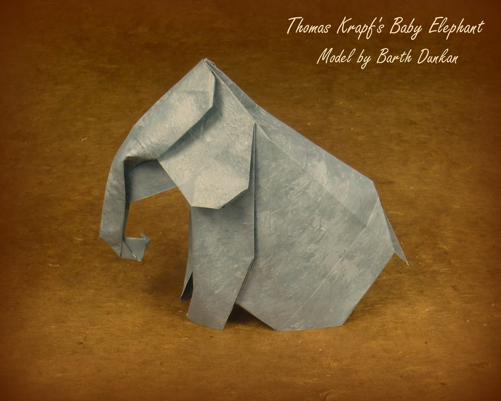 Baby Elephant Origami Thomas Krapfs Ba Elephant Barth Dunkan My Friend Bar Flickr