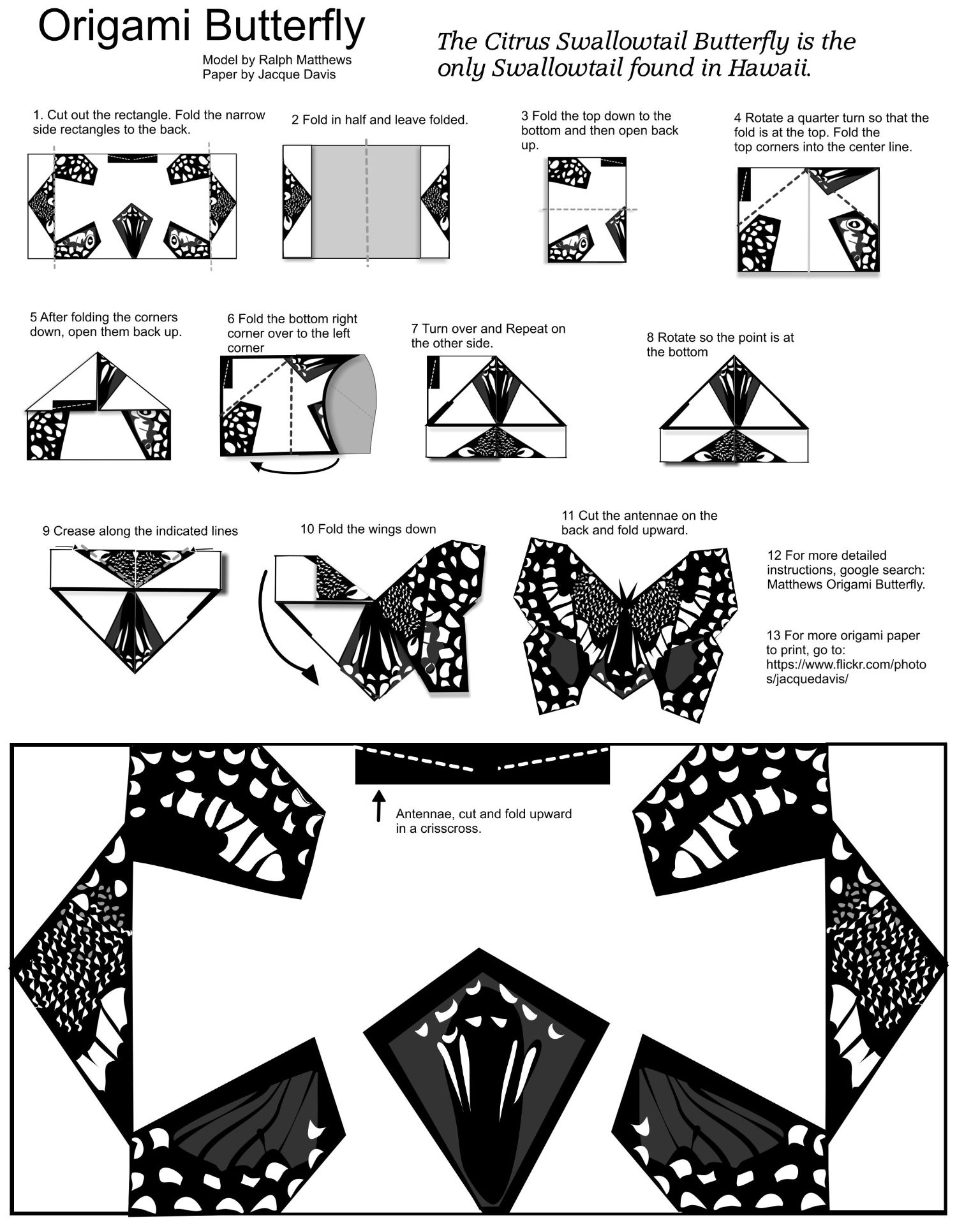 Butterfly Origami Instructions Origami Butterfly Template With Diy Instruction Free Printable