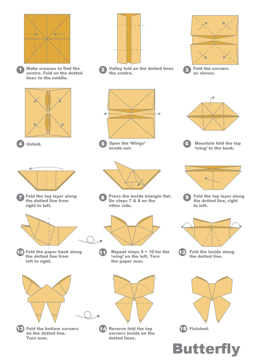 Butterfly Origami Instructions Origami Instruction S5060989 Mvm18 On Behance