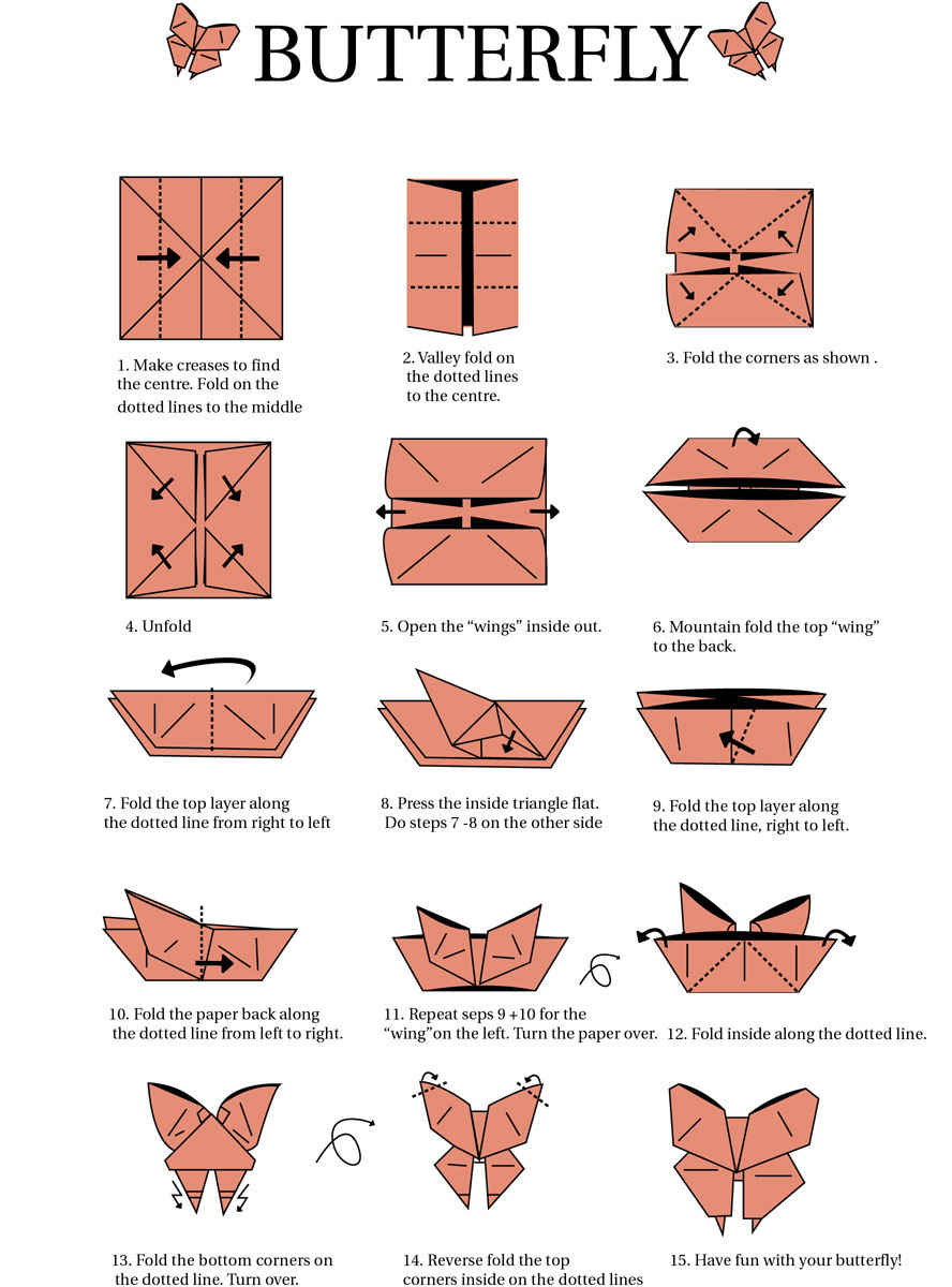 Butterfly Origami Instructions Origami Instructions On Behance