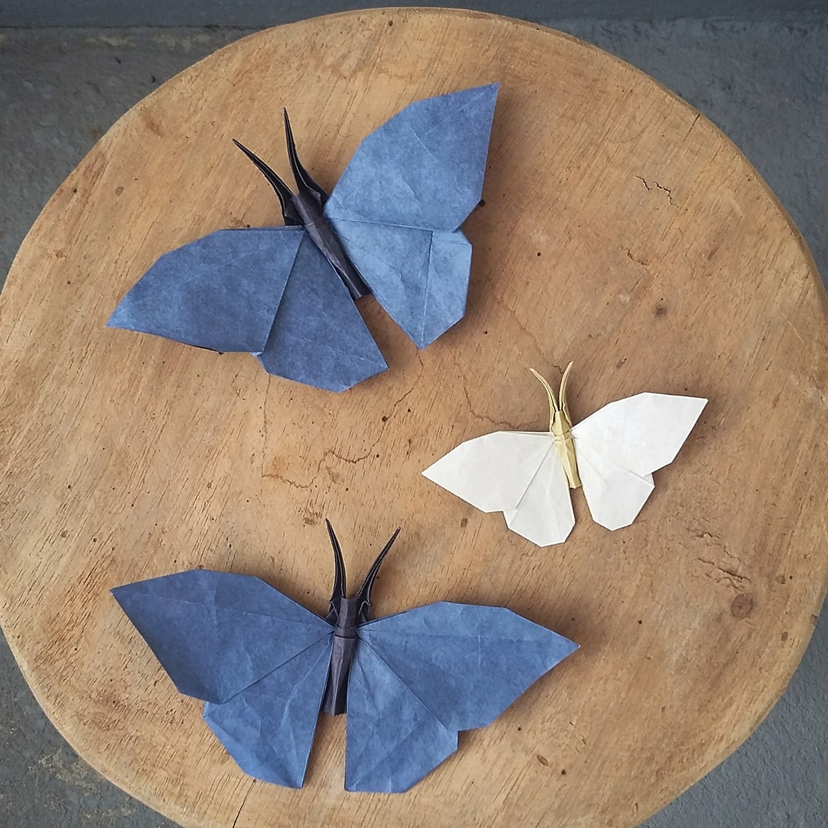 Butterfly Origami Instructions Paper Metamorphosis Beautiful Looking Origami Butterflies