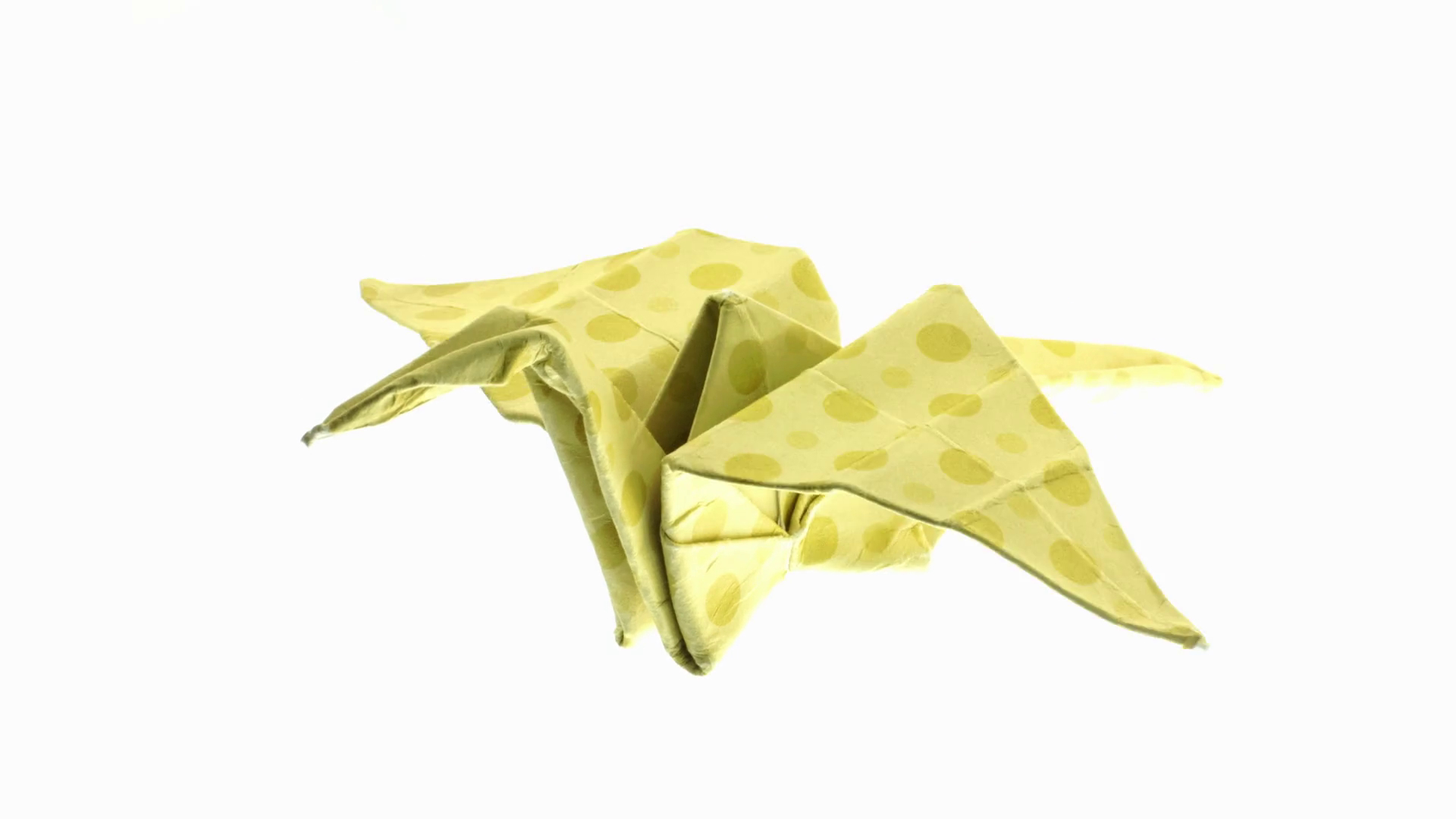 Crane Origami Video Animated Origami Crane Flying On White Background In Different Colours