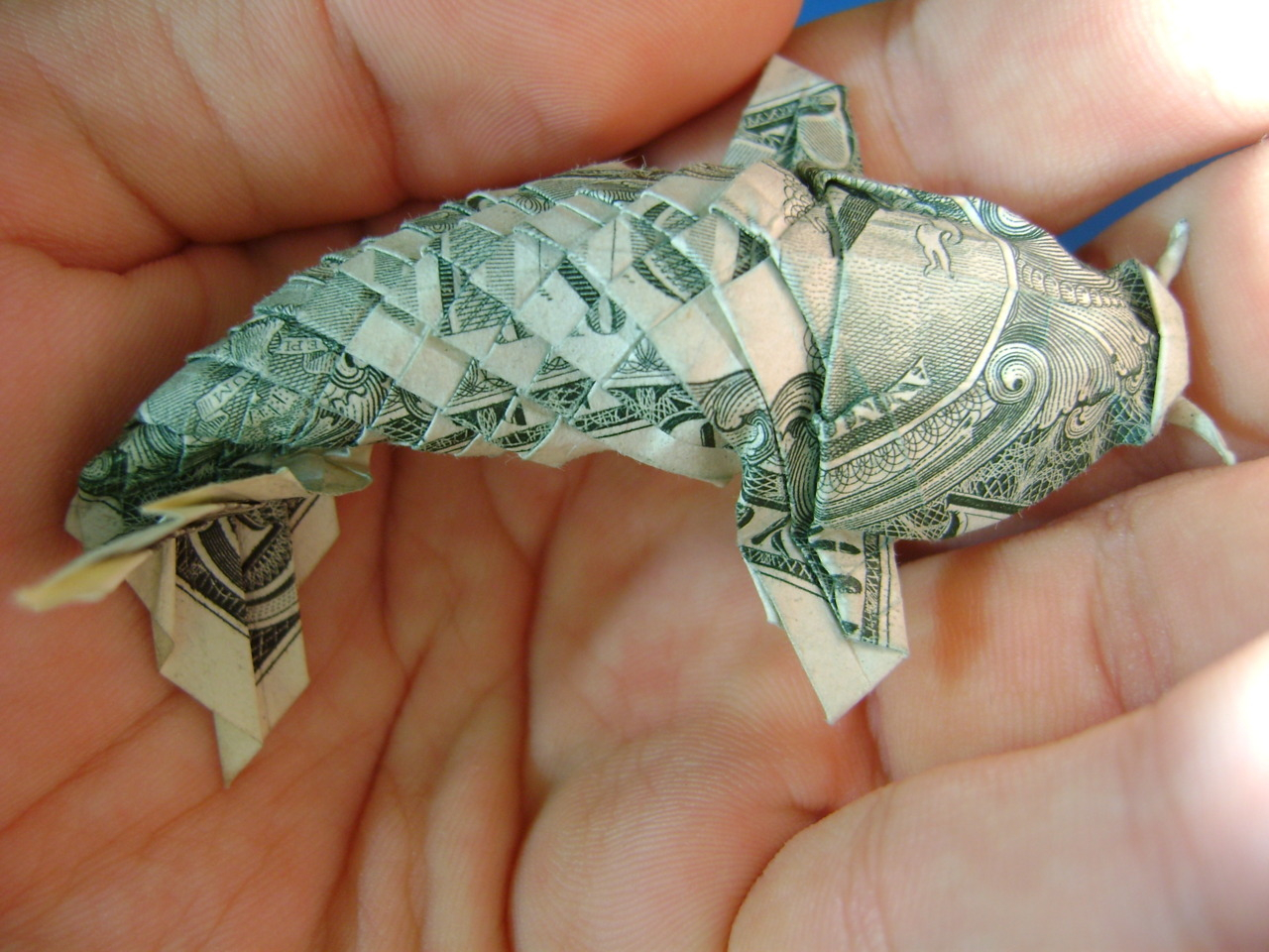 Dollar Bill Koi Fish Origami Instructions Currency Koi Pics
