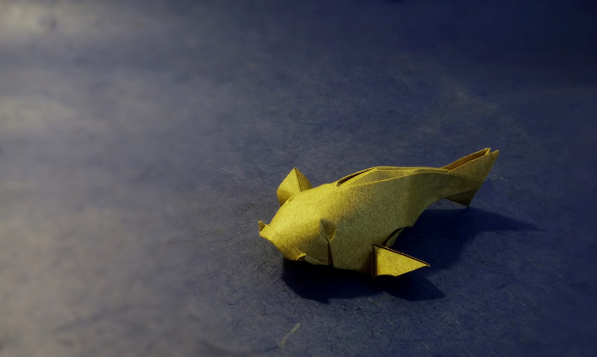 Dollar Bill Koi Fish Origami Instructions You Should Definitely Give A Carp About These Beautiful Origami Koi