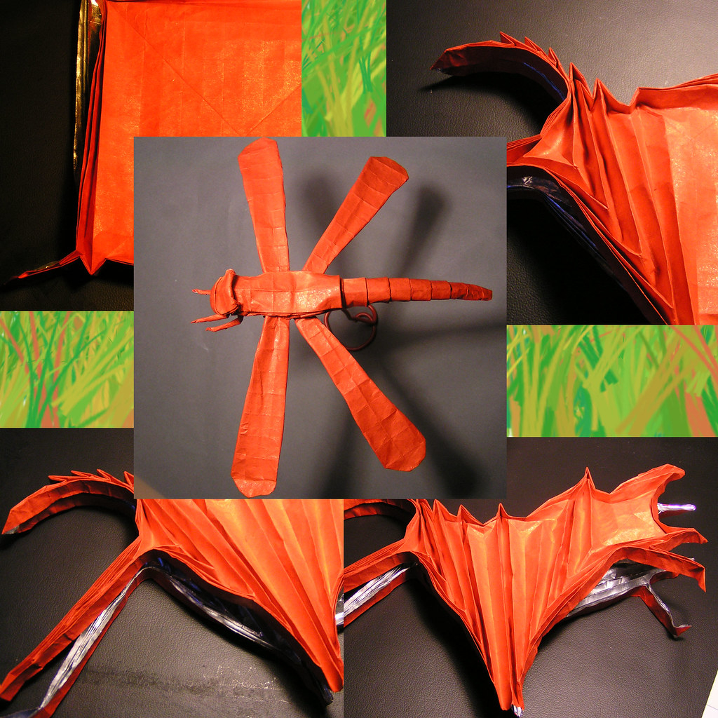 Dragon Fly Origami Origami Dragonfly Designed Brian Chan The Cp Is Here Flickr