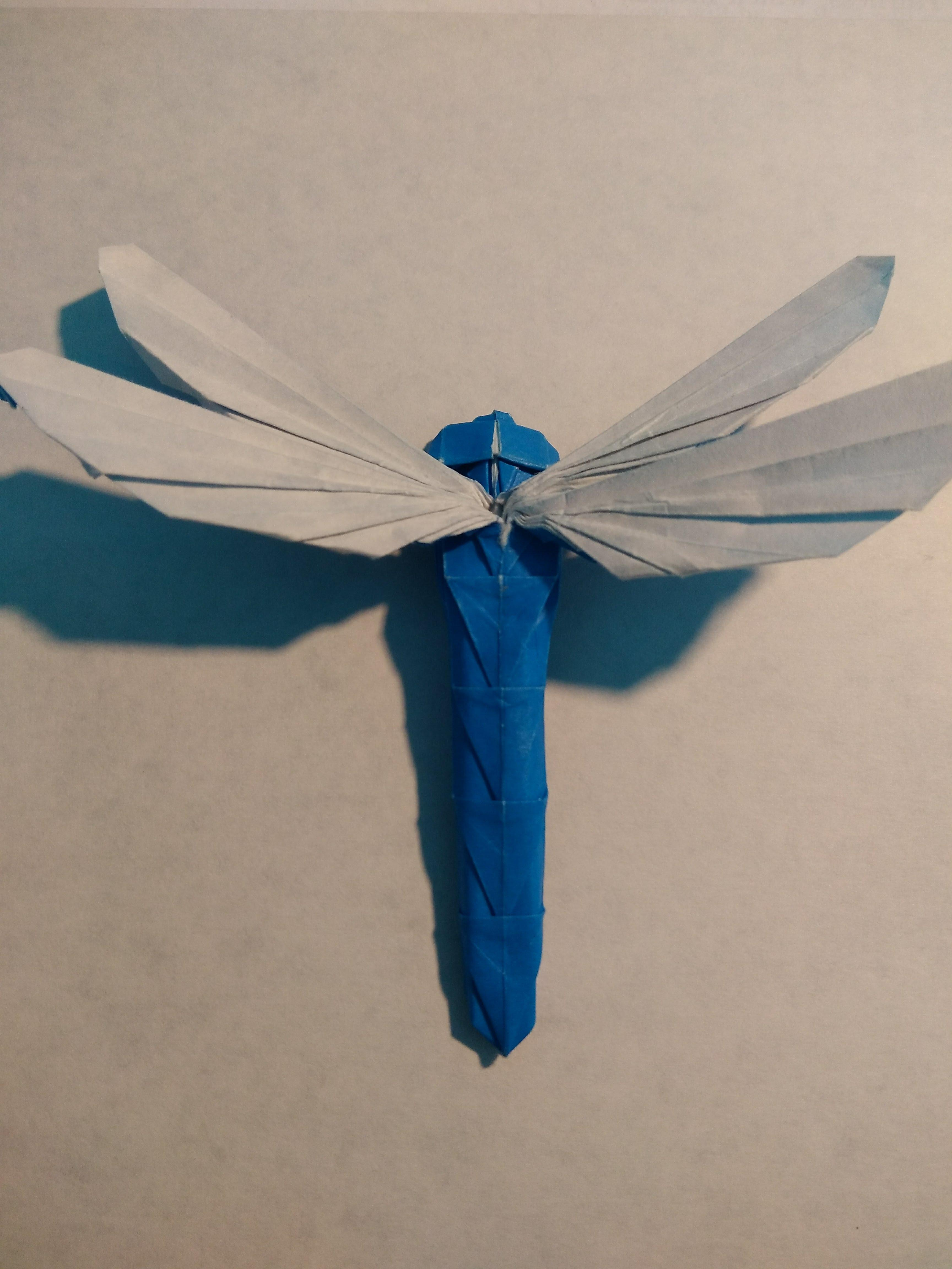 Dragon Fly Origami Simple Dragonfly Designed Shuki Kato Origami