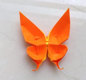 Easy Butterfly Origami Money Origami Butterfly Paper Guide Easy Origami Butterfly Step