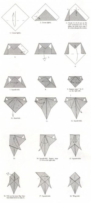 Easy Money Origami Instructions For Kids Kangaroo Origami G Hagiwara