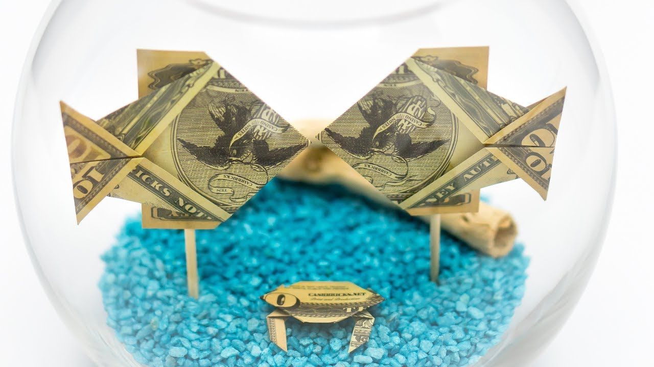 Fish Money Origami Money Gift Idea Making A Dollar Origami Fish Tank