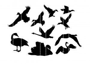 Flying Swan Origami Collection Of Swan Clipart Free Download Best Swan Clipart On