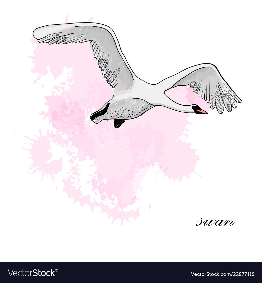 Flying Swan Origami Drawing Flying Swan With