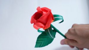 How To Do Origami Rose Easy Origami Rose Henrys Rose Tutorial Henry Phm