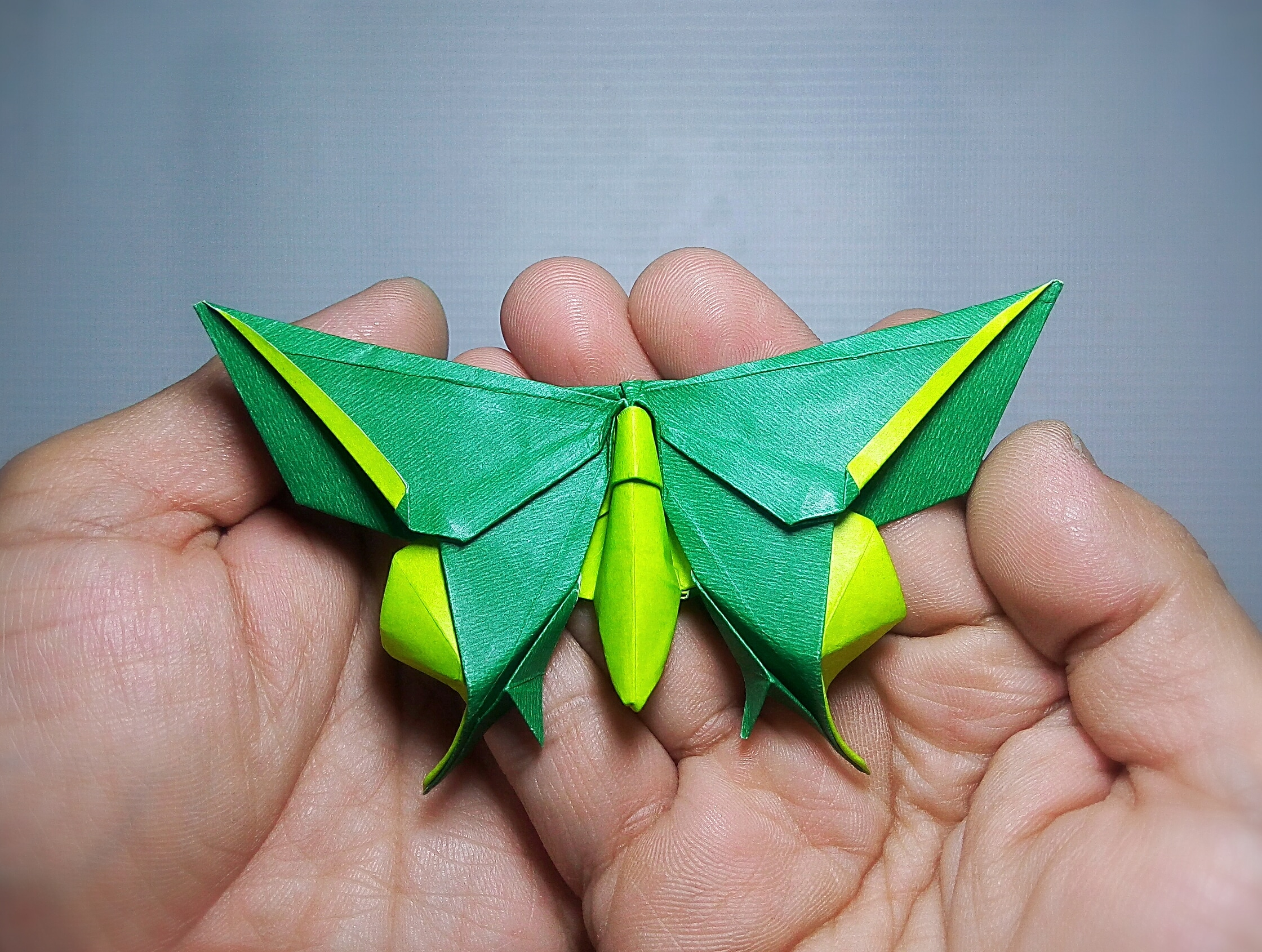 How To Fold Origami Butterfly Origami Butterfly For Reiko Nishioka Michael Lafosse Tutorial On