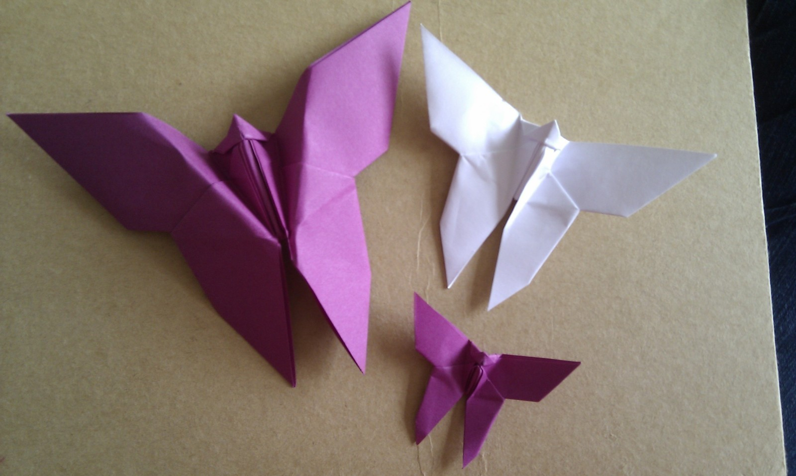 How To Fold Origami Butterfly Origami Butterfly How To Fold An Origami Animal Origami And