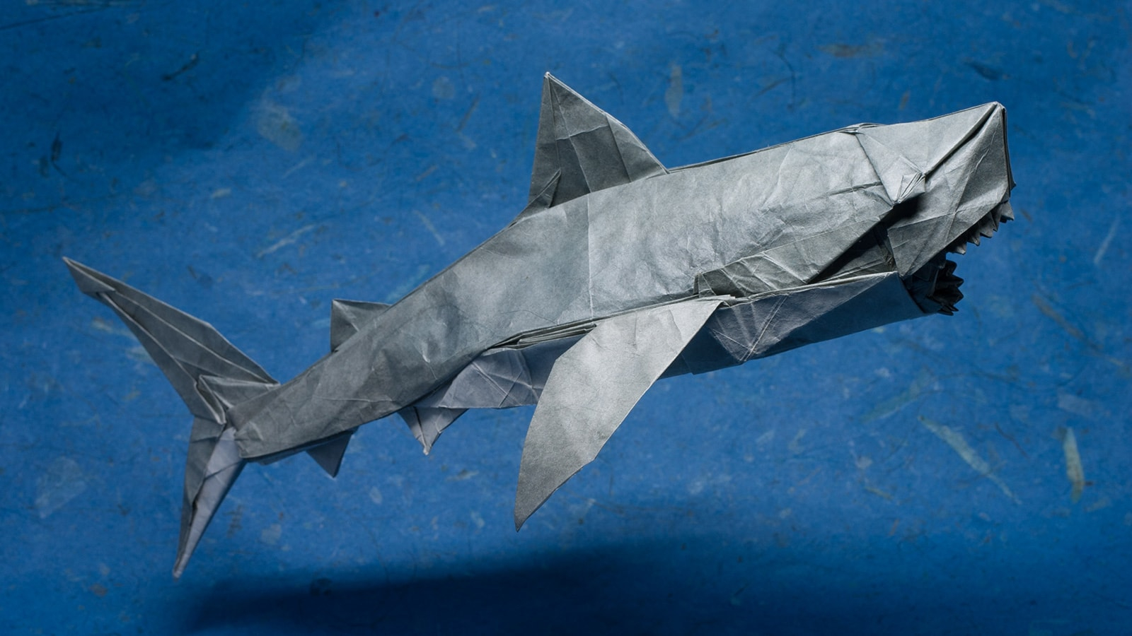 How To Make An Origami Shark Magnificent Origami Sharks To Celebrate Shark Awareness Day