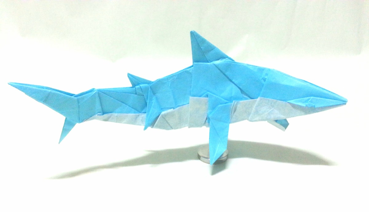 How To Make An Origami Shark Magnificent Origami Sharks To Celebrate Shark Awareness Day