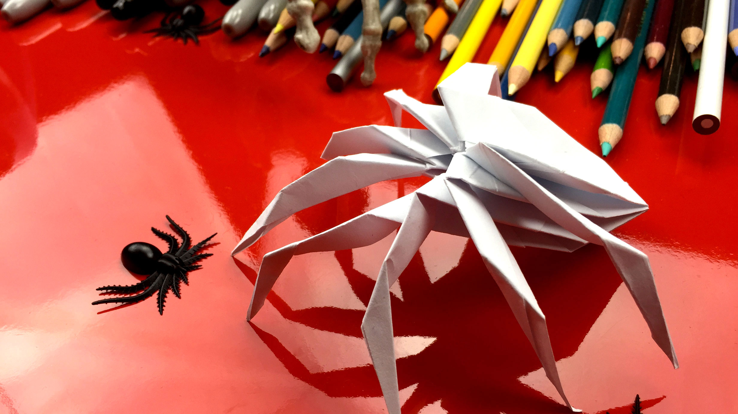 How To Make An Origami Spider How To Fold An Origami Spider Art For Kids Hub