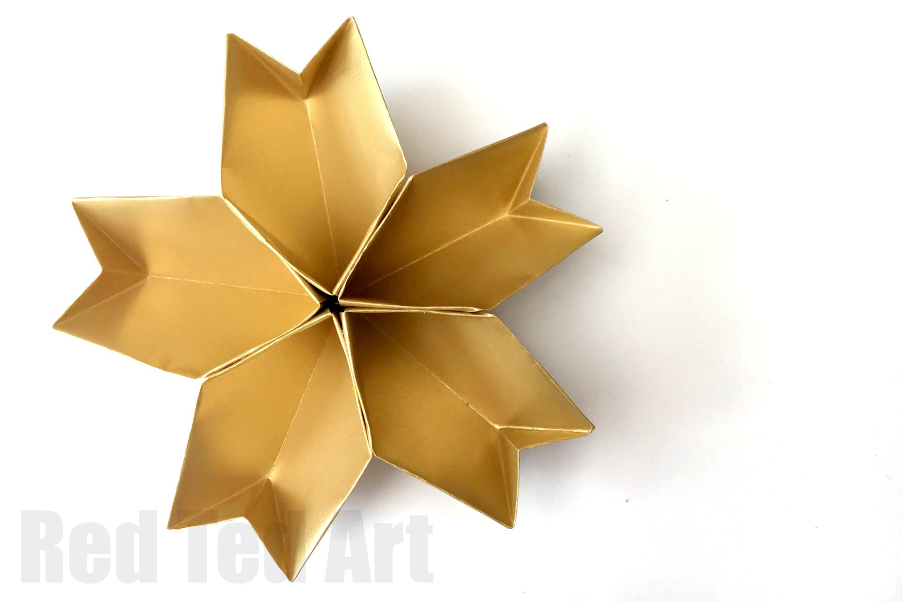 How To Make An Origami Star 3d Paper Star Bowl Easy Origami Red Ted Art