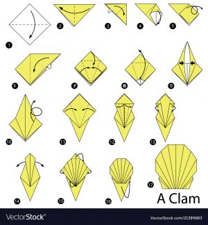 How To Make An Origami Step Instructions How To Make Origami A Clam