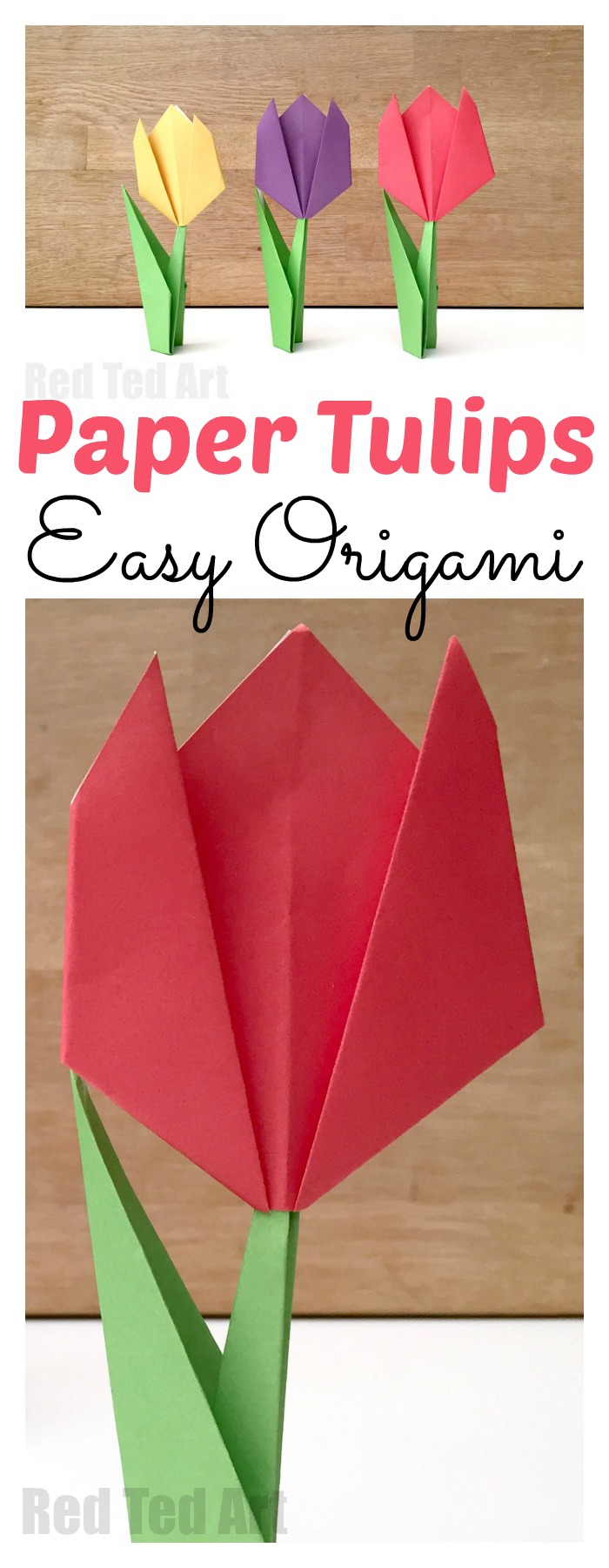 How To Make An Origami Tulip Easy Paper Tulip Red Ted Art