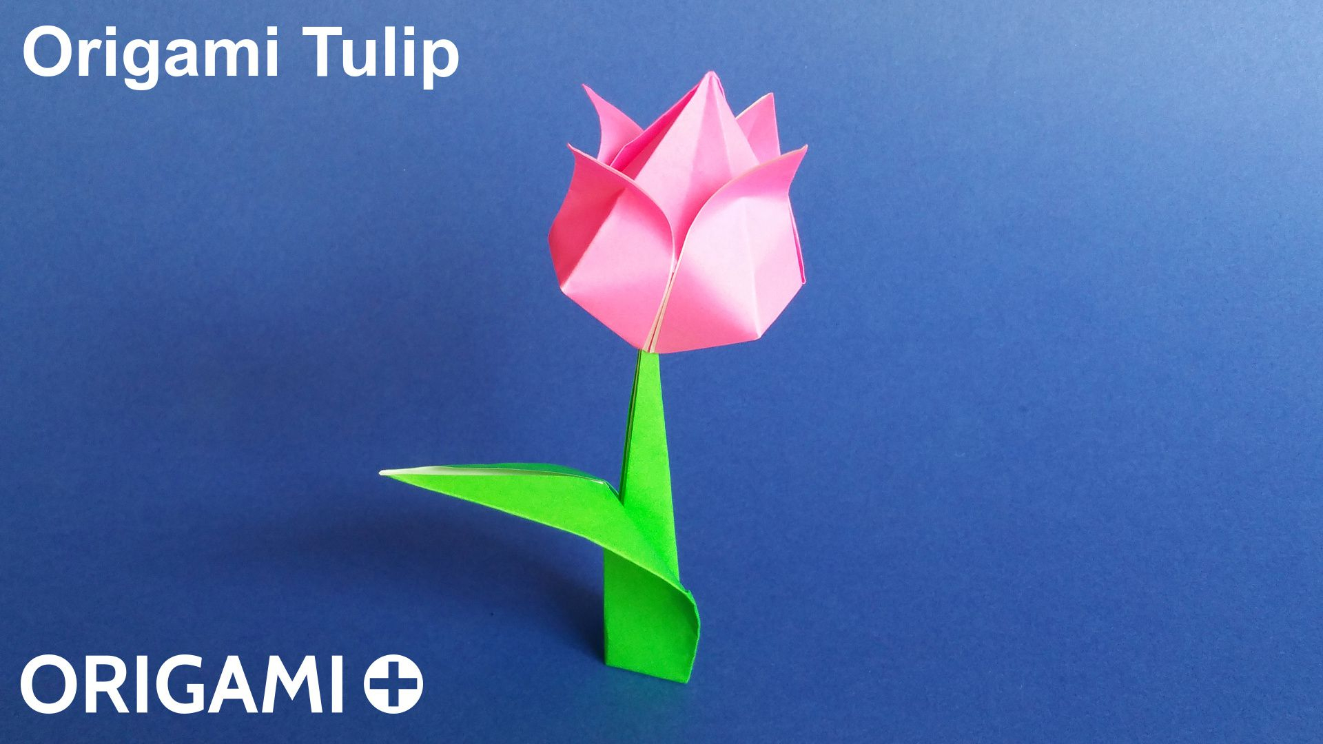 How To Make An Origami Tulip Origami Tulip