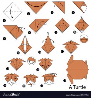 How To Make An Origami Turtle Step By Step Step Instructions How To Make Origami A Turtle