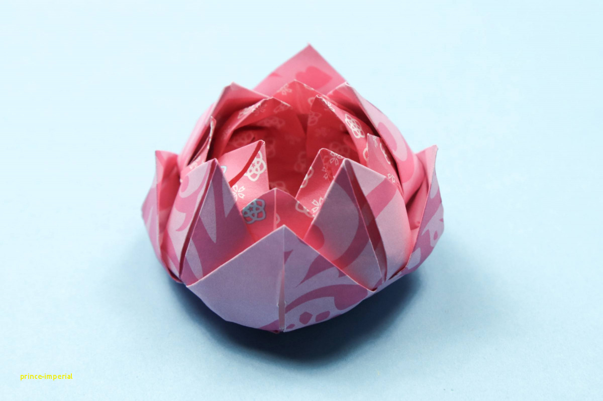 How To Make Easy Origami Flowers Origami Flowers Step Step Cute Easy Origami Lotus Instructions