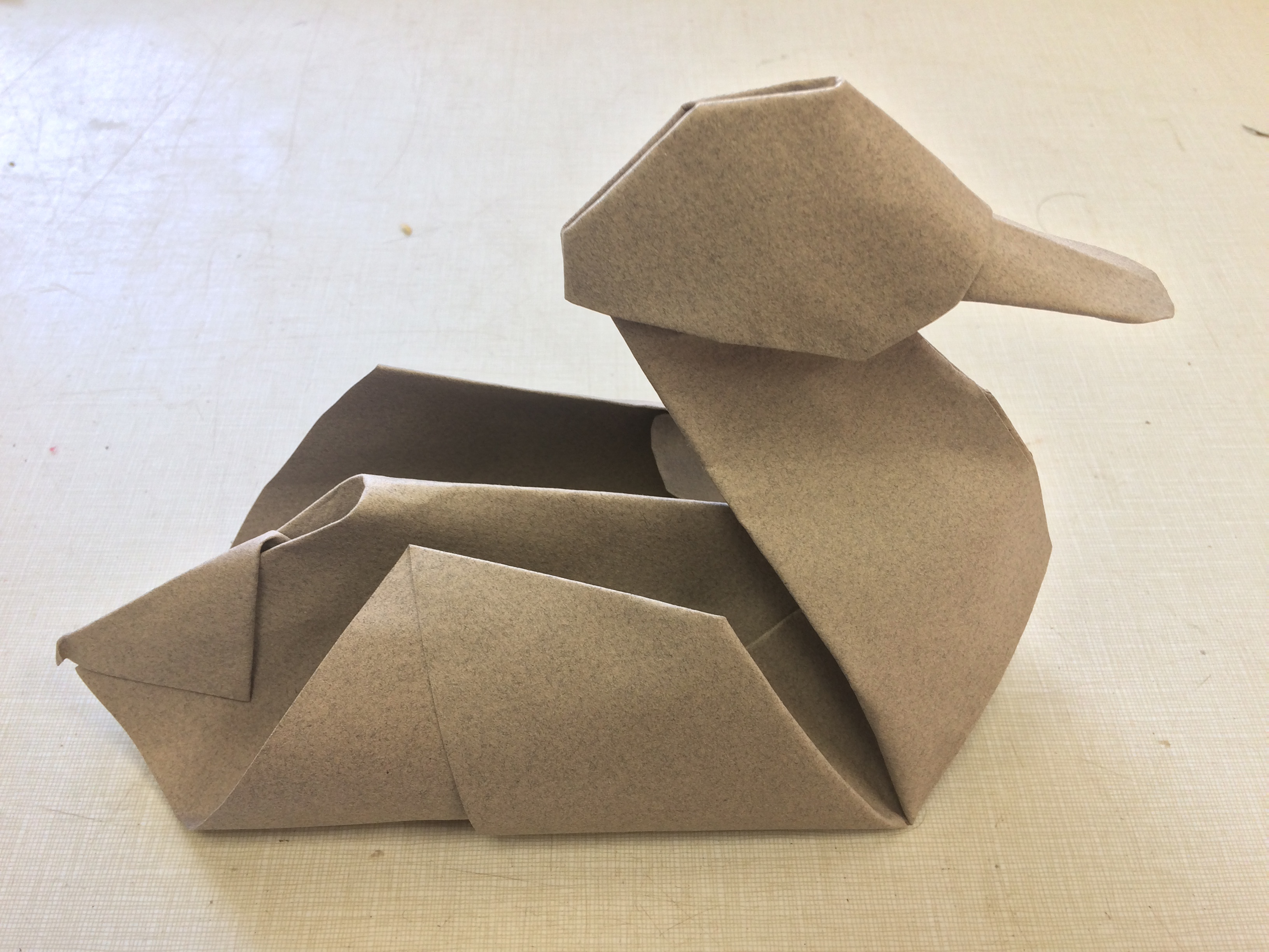 How To Make Origami Duck My Origami Duck Why Evolution Is True