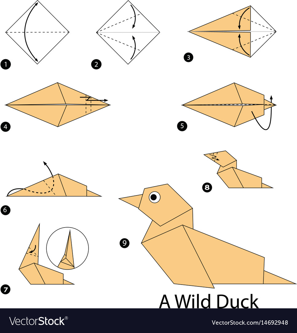 How To Make Origami Duck Step Step Instructions How To Make Origami Vector Image