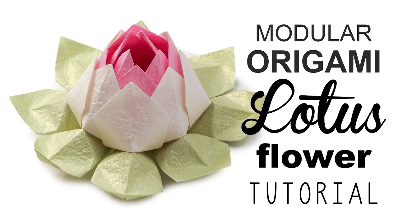How To Make Origami Lotus Flower Video Modular Origami Lotus Flower Tutorial Diy