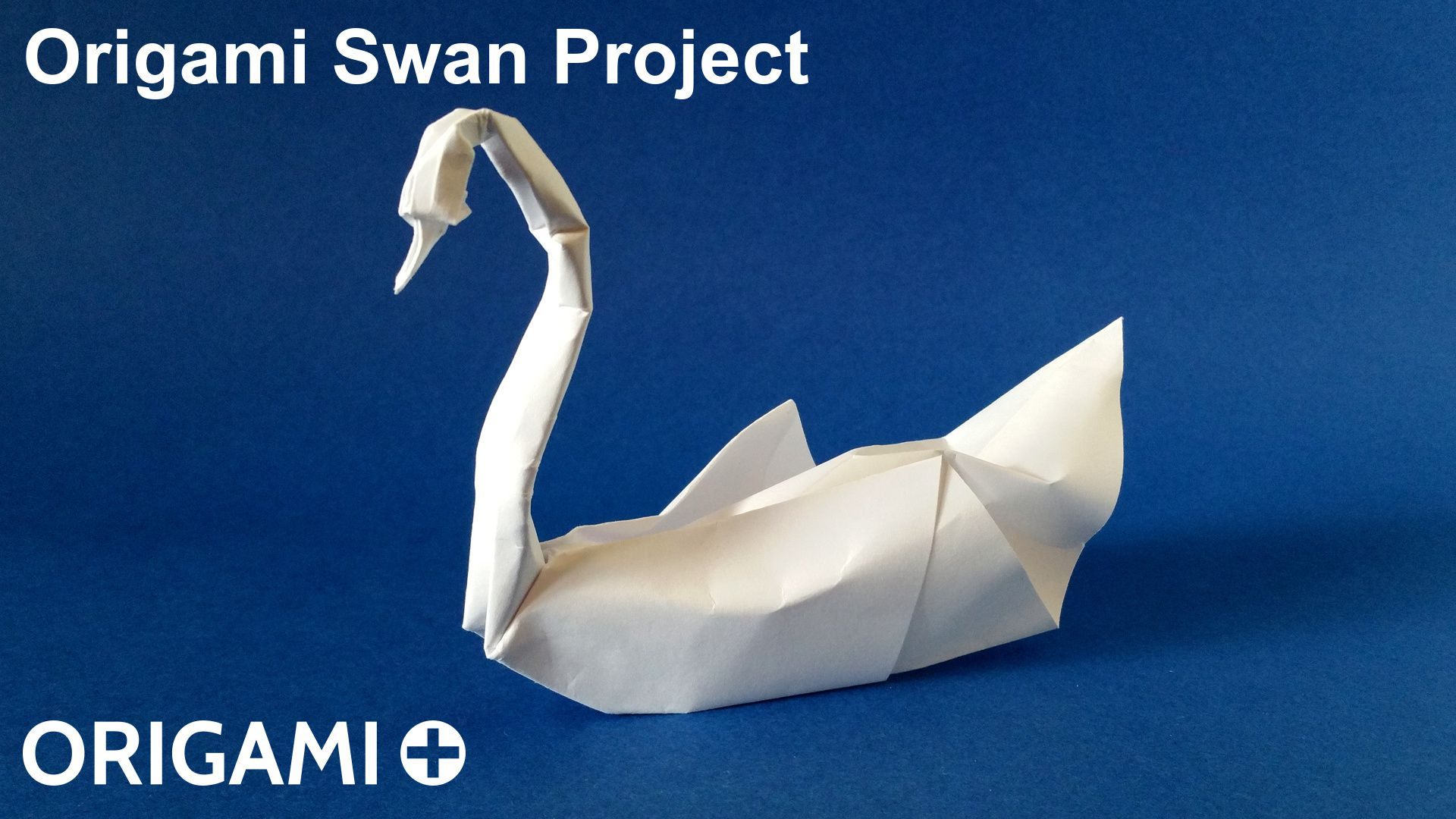 How To Make Origami Swans Origami Swan Project