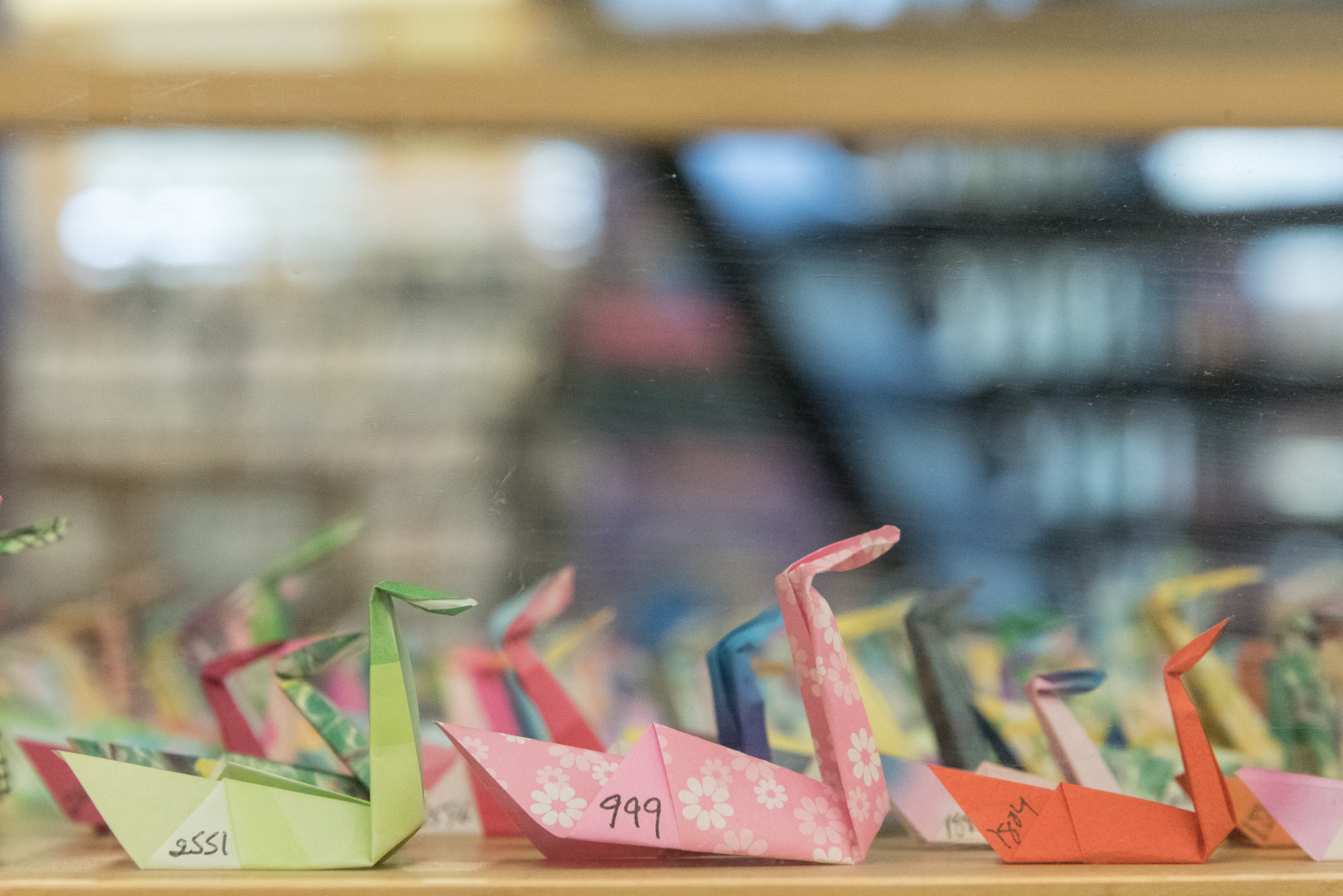 How To Make Origami Swans Thousands Of Paper Swans Honor Children Separated At The Border