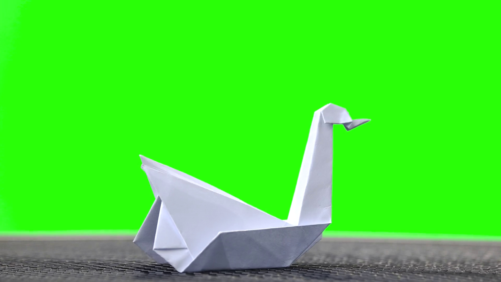 How To Make Origami Swans White Origami Swan On Green Screen Folded Paper Bird On Chroma Key Background Decorative Paper Element