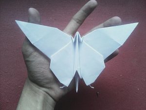 Jeremy Shafer Origami Origami Butterfly Jeremy Shafer Origami Origamist Flickr