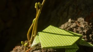 Jumping Frog Origami Find Out How To Fold An Origami Jumping Frog