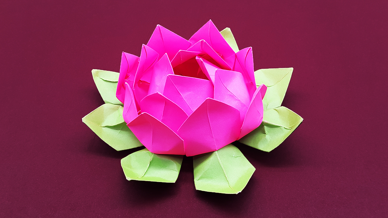 Lotus Flower Origami Colors Paper Diy Paper Flower Tutorial Step Step Beautiful