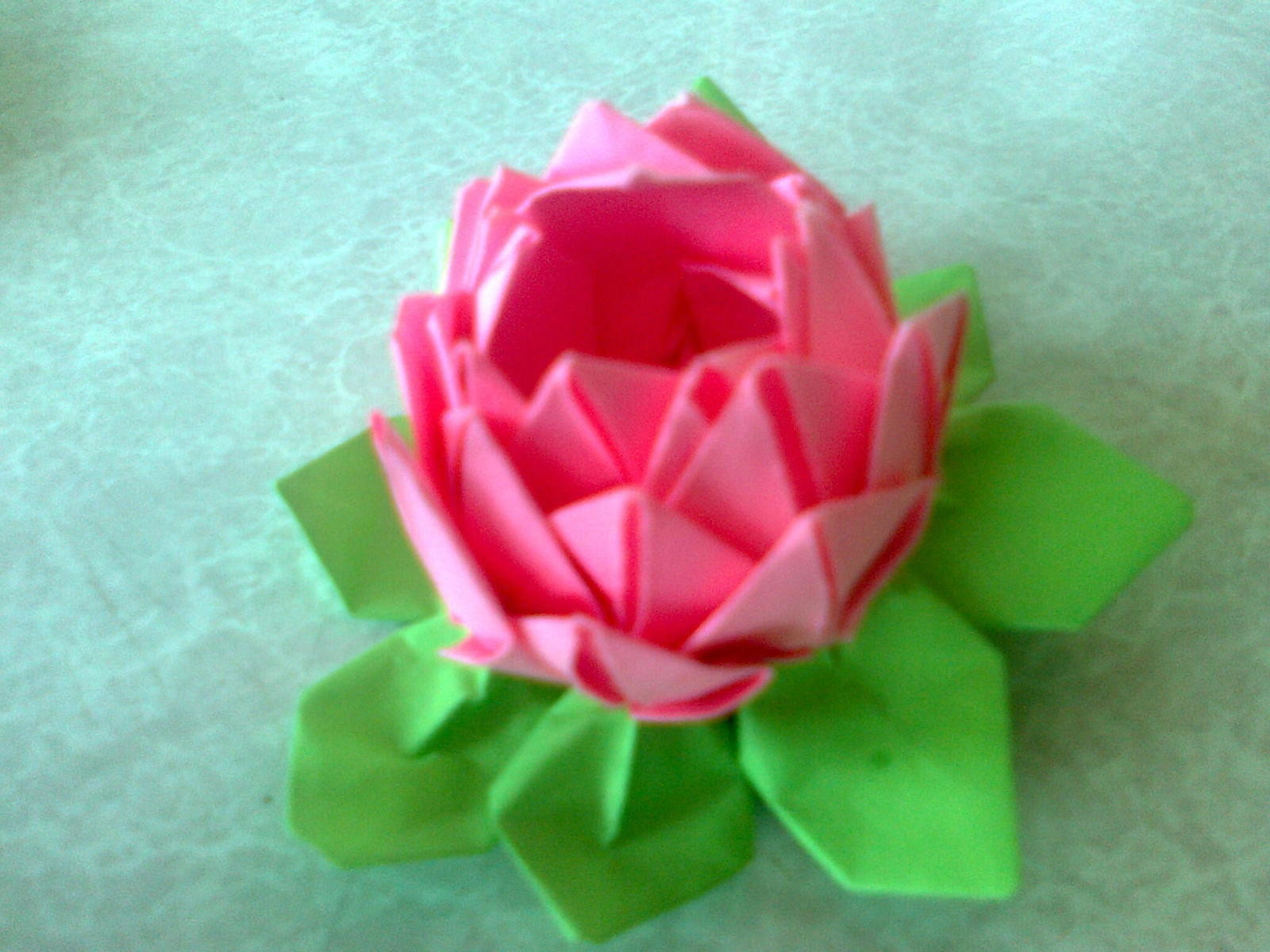 Lotus Flower Origami Lotus Flower Spring Tutorial How To Fold An Origami Lotus