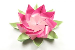 Lotus Flower Origami Modular Origami Lotus Flower