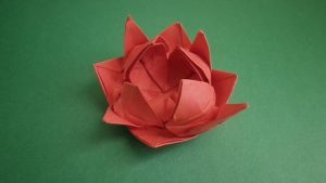 Lotus Flower Origami Origami Lotus Flower