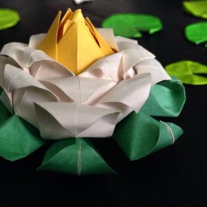 Lotus Flower Origami Origami Lotus Flower Alana Wu Flickr