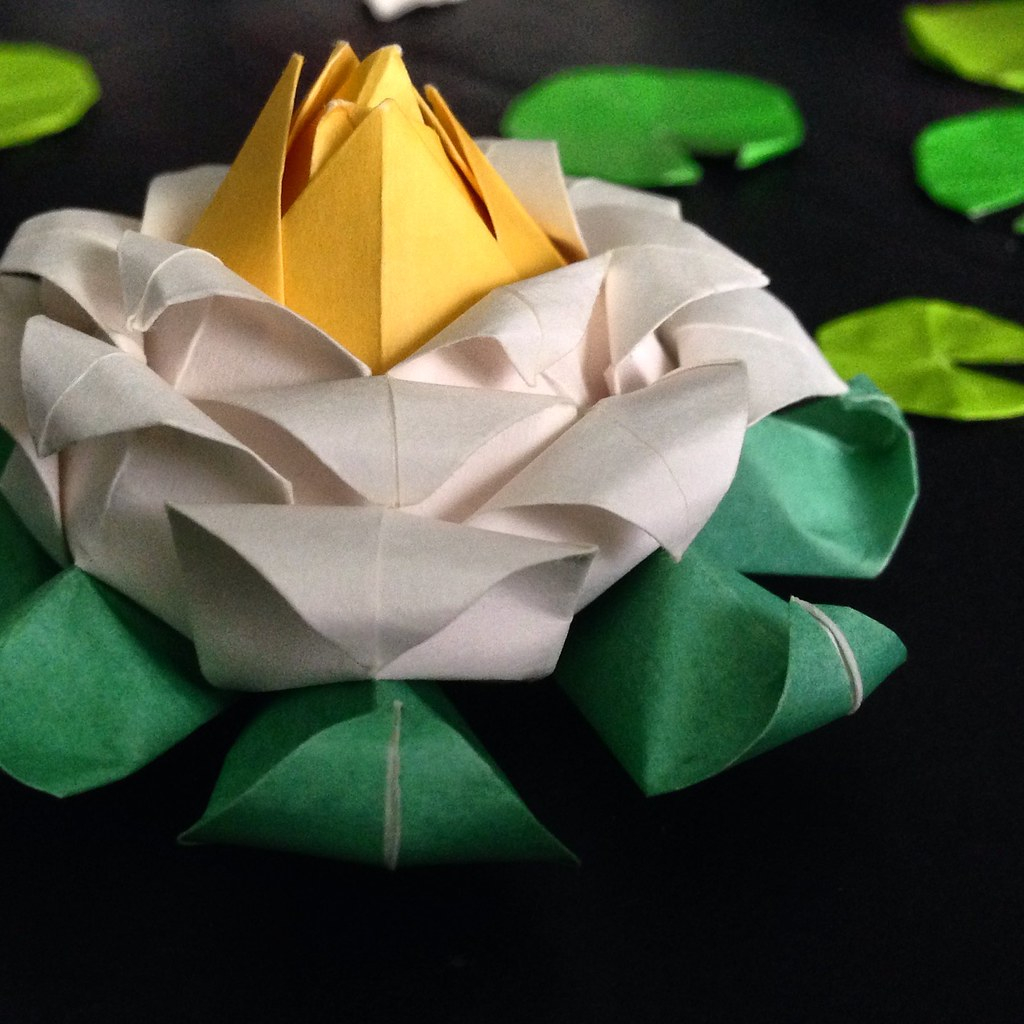 Lotus Flower Origami Origami Lotus Flower Alana Wu Flickr