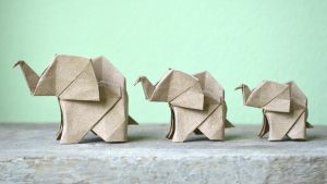 Money Origami Elephant 9 Hobbies You Can Take Up Spending Almost No Money Bailiwick