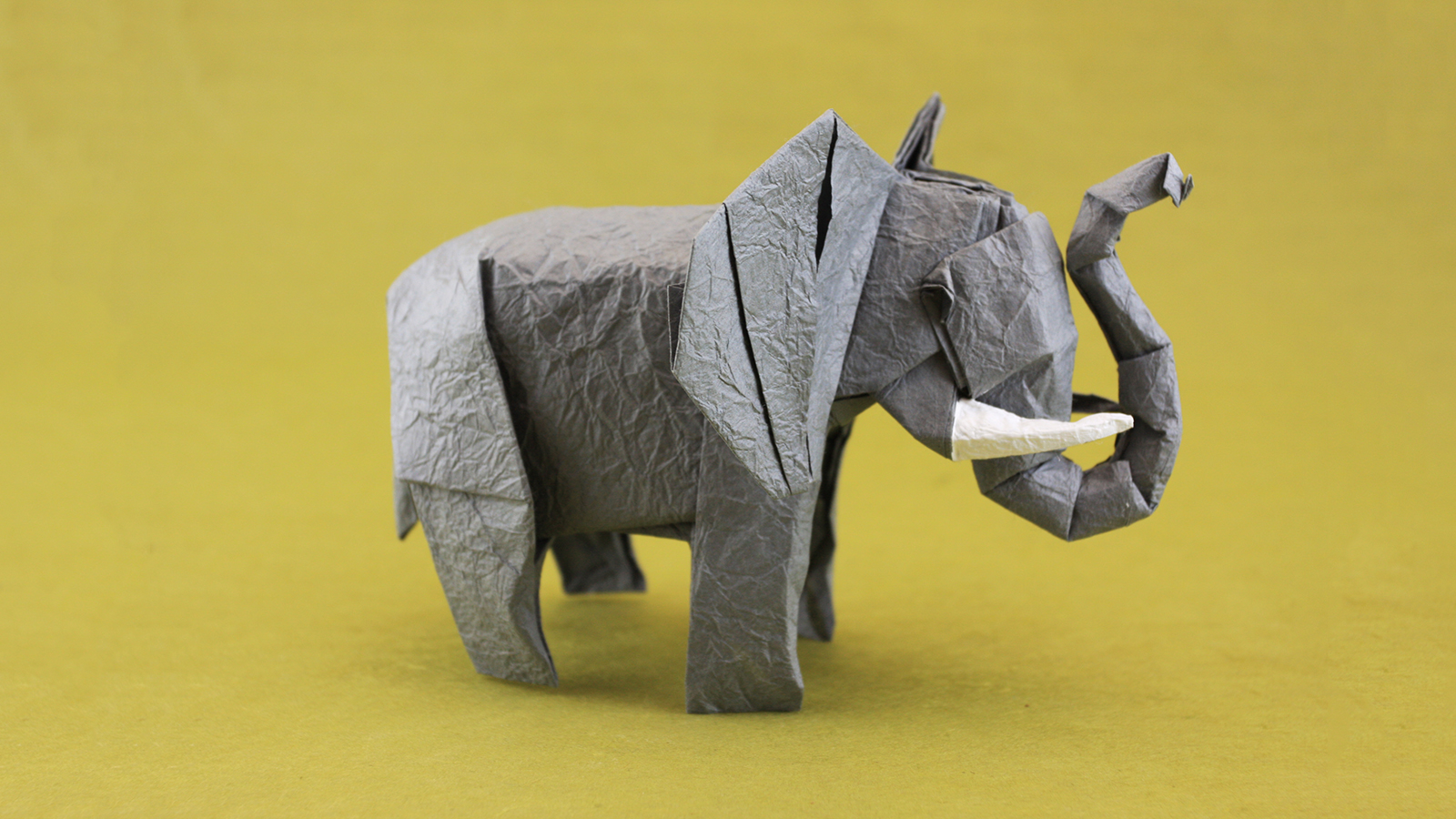 Money Origami Elephant Origami Safari 26 Beautiful African Animals Made Out Of Paper
