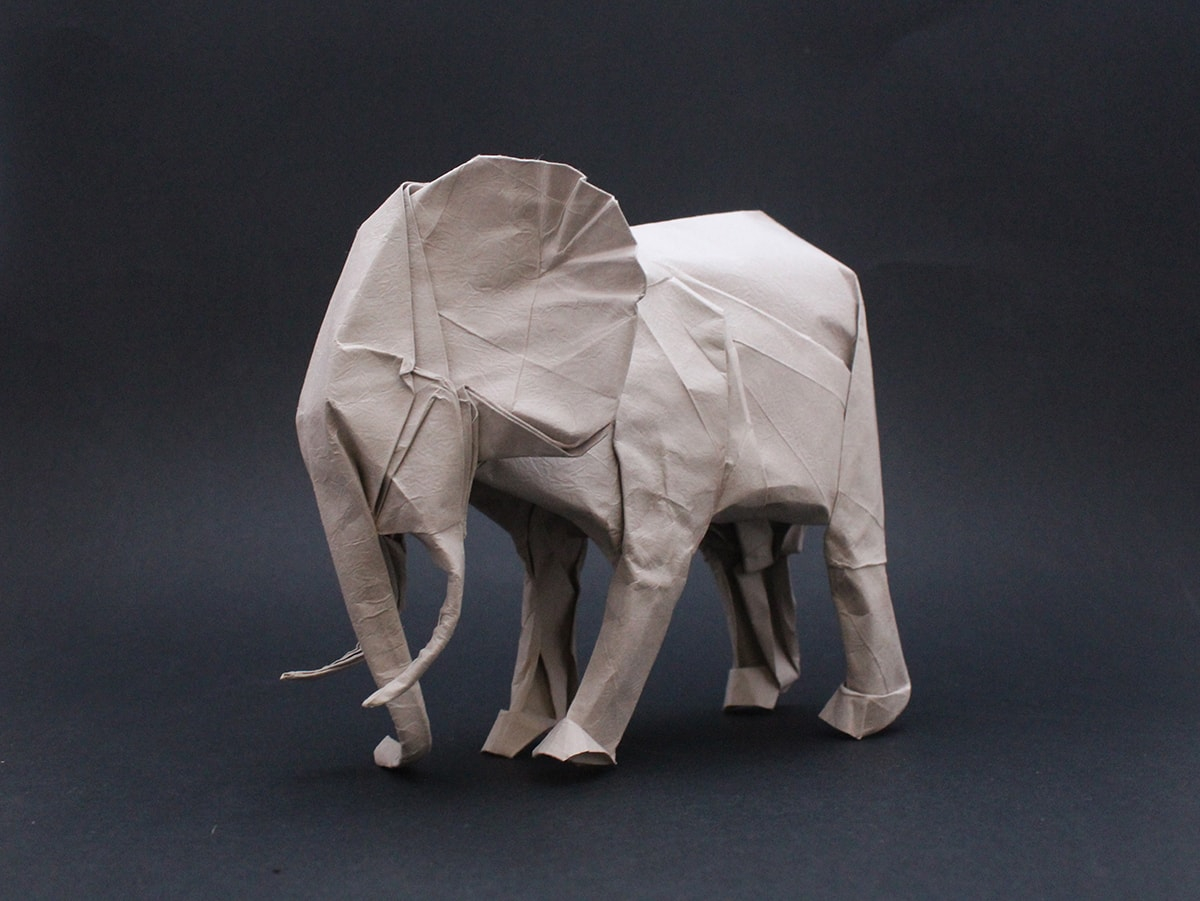 Money Origami Elephant Origami Safari 26 Beautiful African Animals Made Out Of Paper